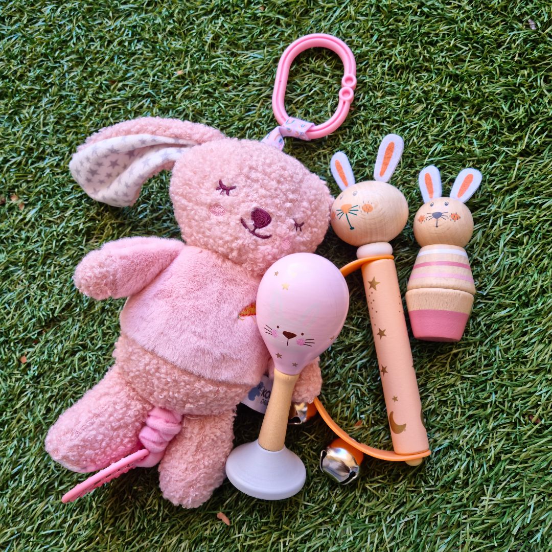 Baby Girl Bunny Gift Set