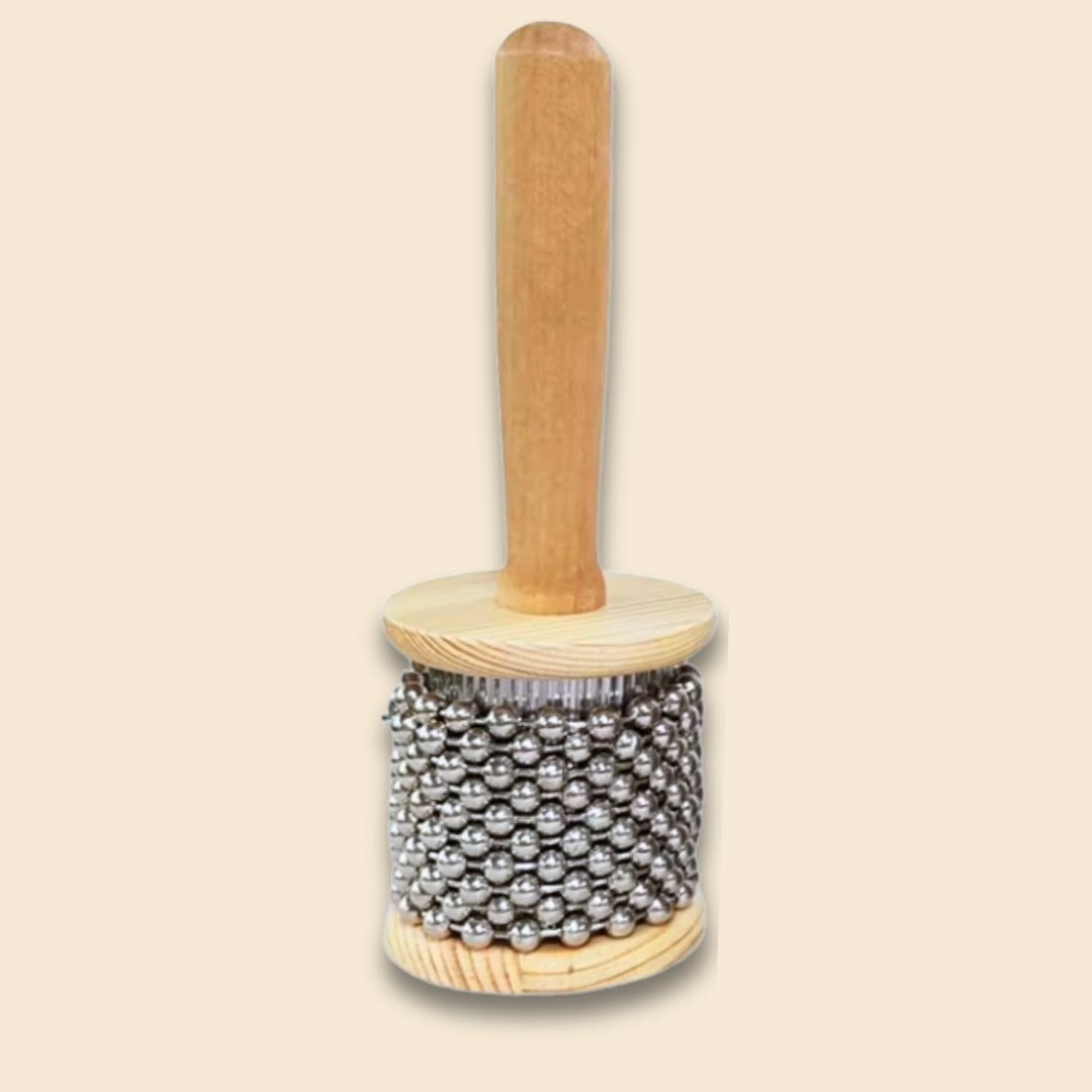 Cabasa Percussion Instrument