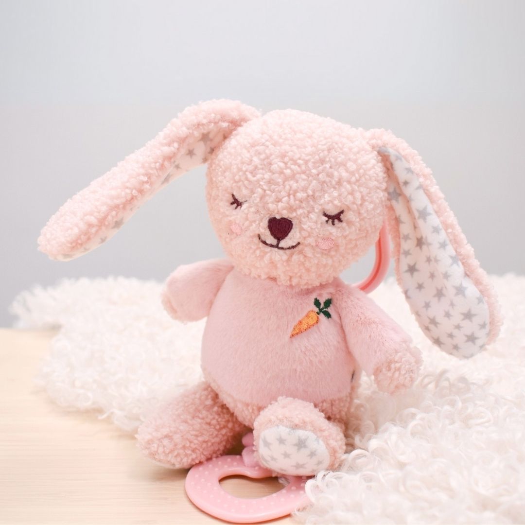 Snuggle Buddy Pram Attachment (Squeak, Jiggle & Teether)