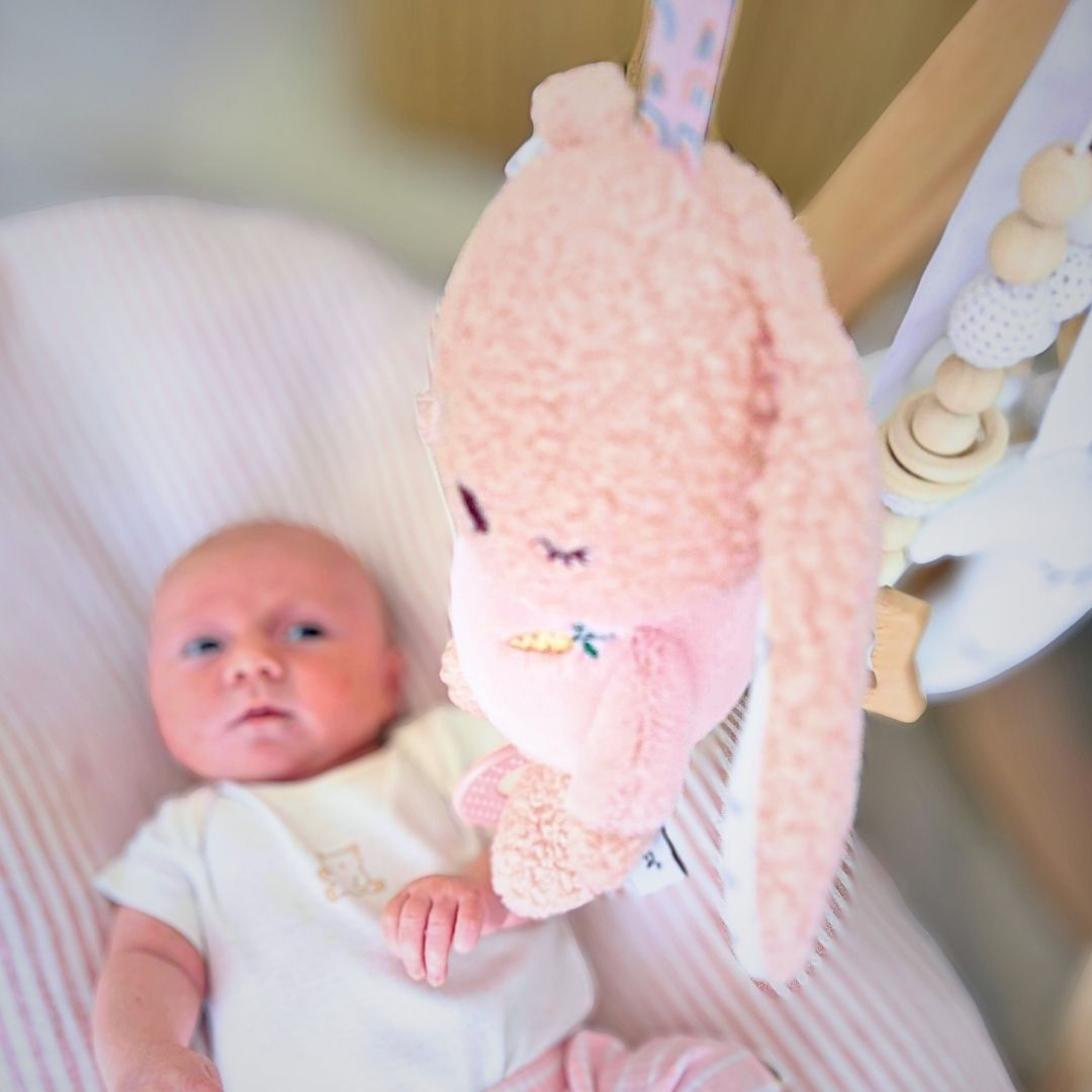 Snuggle Buddy Pram Attachment (Squeak, Jiggle & Teether)