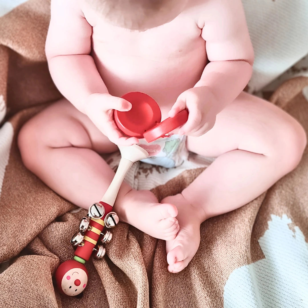 Ladybug Jingle & Clap - Gift Set