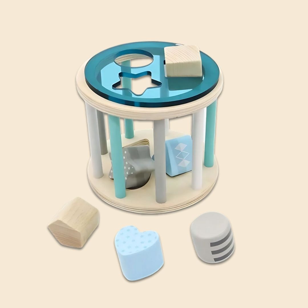 Wooden Rolling Shape Sorter