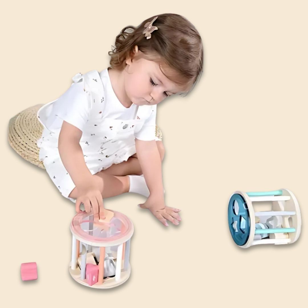Wooden Rolling Shape Sorter