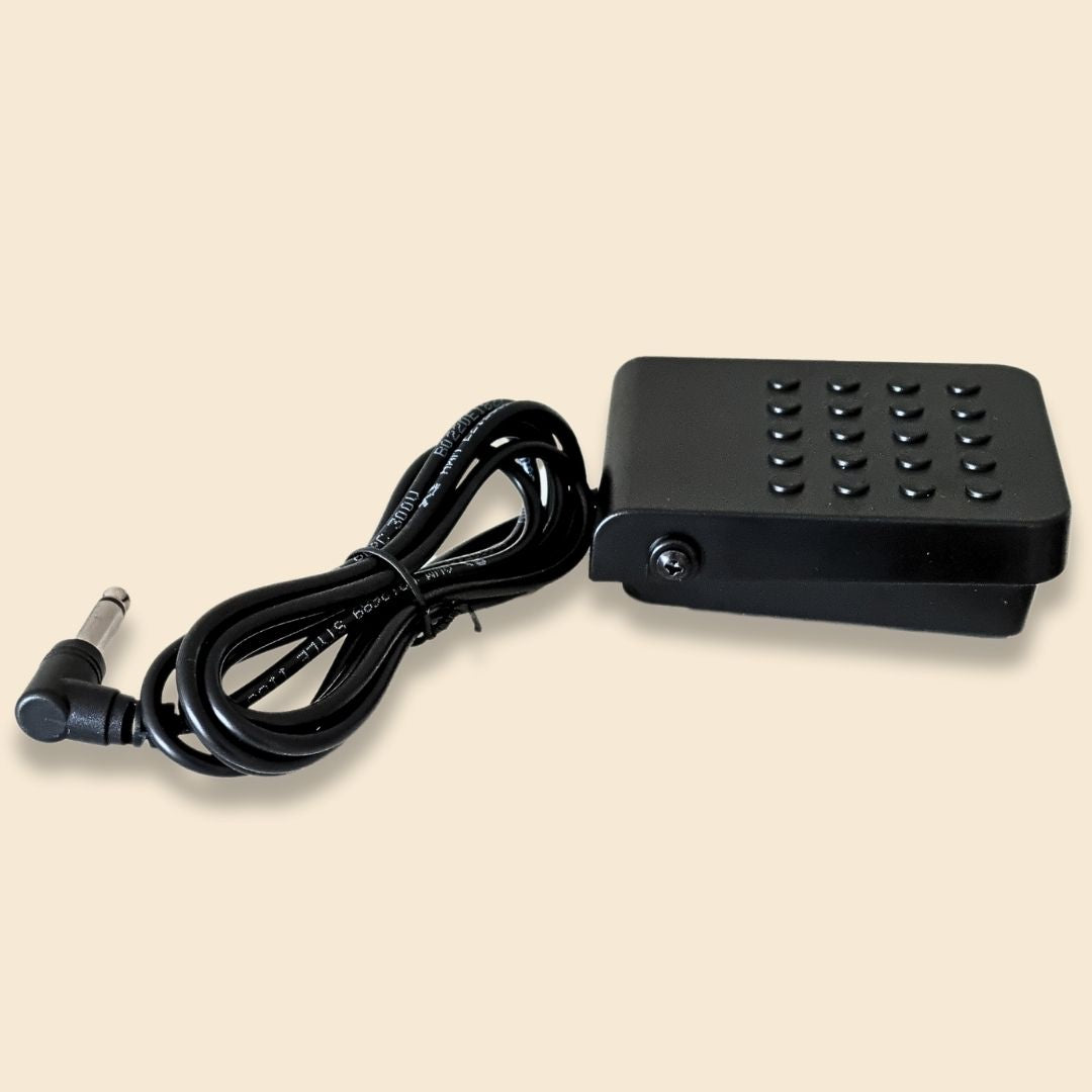 Casio SP3 Sustain Pedal for Keyboards - Sneaky Music