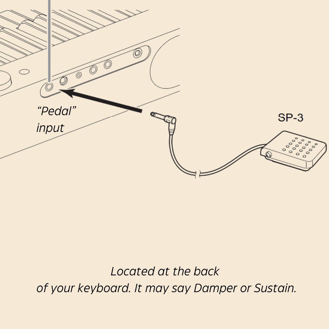 Casio SP3 Sustain Pedal for Keyboards - Sneaky Music