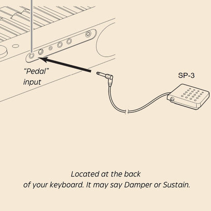 Casio SP3 Sustain Pedal for Keyboards - Sneaky Music