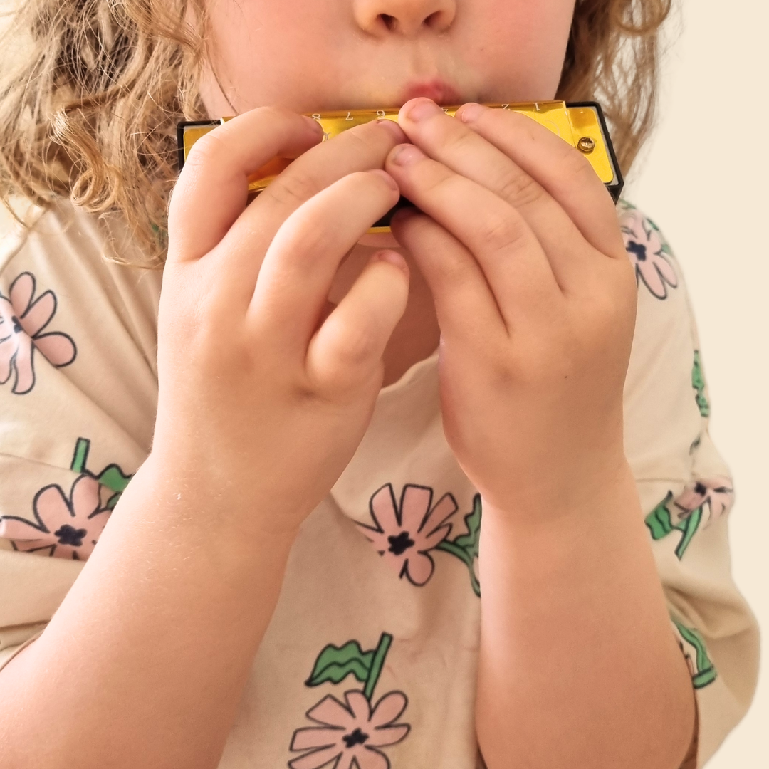 Kids Harmonica