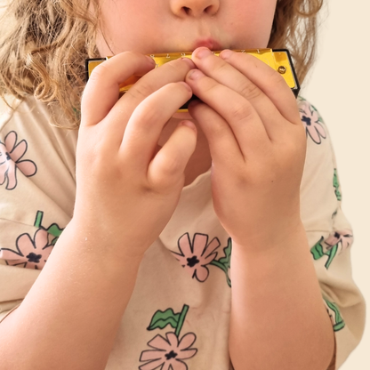 Kids Harmonica