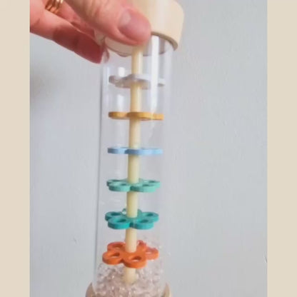 hermit crab/turtle wooden rainstick sound demonstration