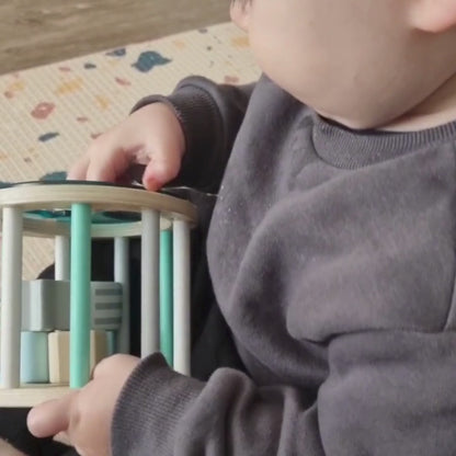 Wooden Rolling Shape Sorter